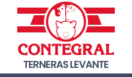 Terneras levante