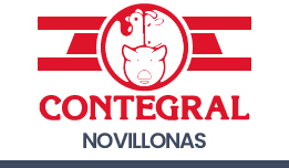 Novillonas