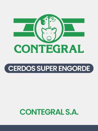 Cerdos Super Engorde