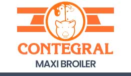 maxi-broiler