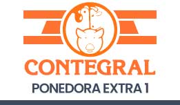 Ponedoras extra 1