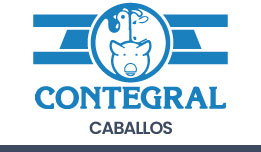 caballos