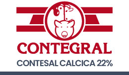 contesal-calcica-22%